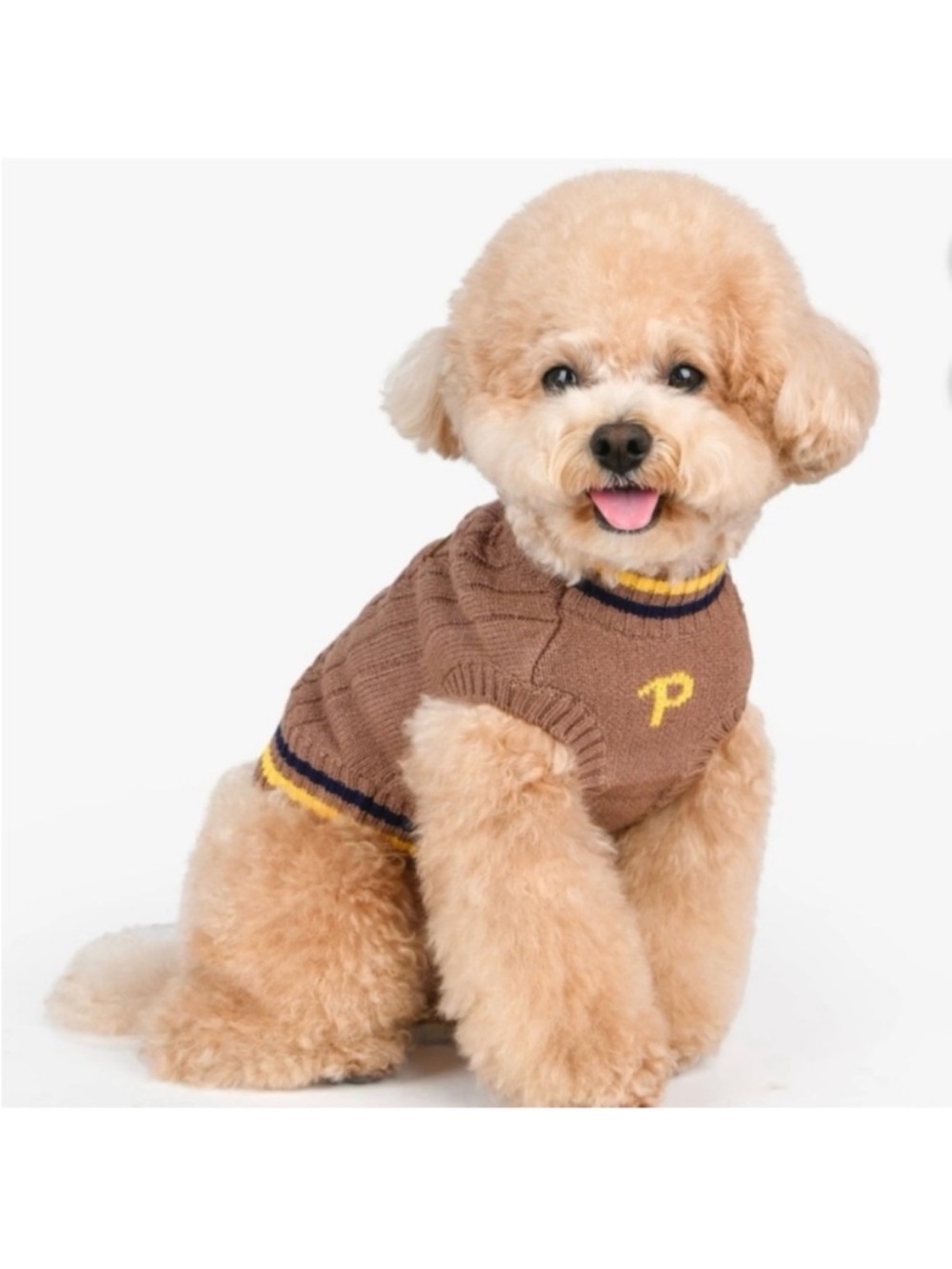 🆕-Puppia Joise- Brown Cable-Knit Dog Sweater w/Striped Trim-Small Medium Dogs